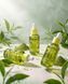 LALARECIPE Matcha PDRN Capsule Essence Капсульна есенція-сироватка з Matcha PDRN комплексом, 30мл 2984 фото 3