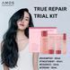 Amos Professional True Repair Trial Kit Набір мініатюр продуктів для сухого та пошкодженого волосся 2468 фото 3
