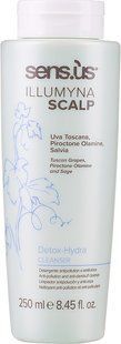 Sens.&ugrave;s Illumyna Scalp Detox Hydra Cleanser Детоксикаційний зволожувальний шампунь, 250мл 1724 фото