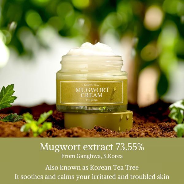 I'm From Mugwort Cream Заспокійливий крем для обличчя із екстрактом полину, 50г 1875 фото