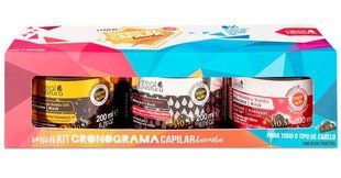 Real Natura KIT MINI CRONOGRAMA CAPILAR Набір масок для волосся живлення, відновлення та зволоження 3Х200мл 837 фото