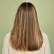 Redefine Matcha Shampoo Шампунь для обʼєму тонкого волосся з матчею, 400мл 2908 фото 3