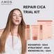 AMOS Professional Repair Cica Trial Kit Набір мініатюр продуктів для пошкодженого волосся 2818 фото 3